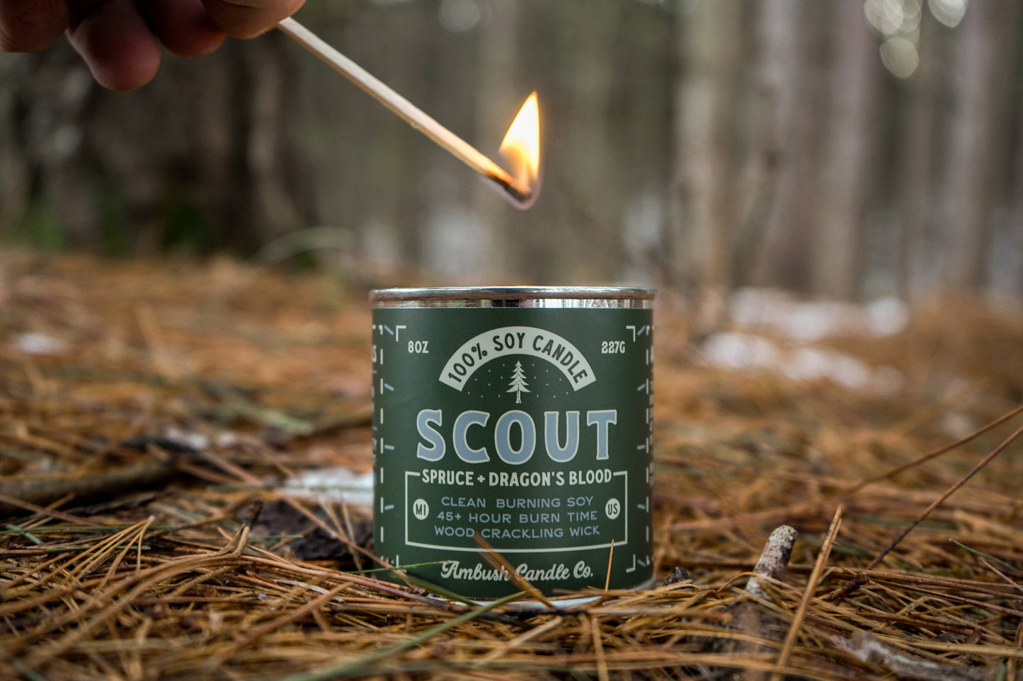 Scout | Spruce + Dragons Blood 8oz Soy Candle