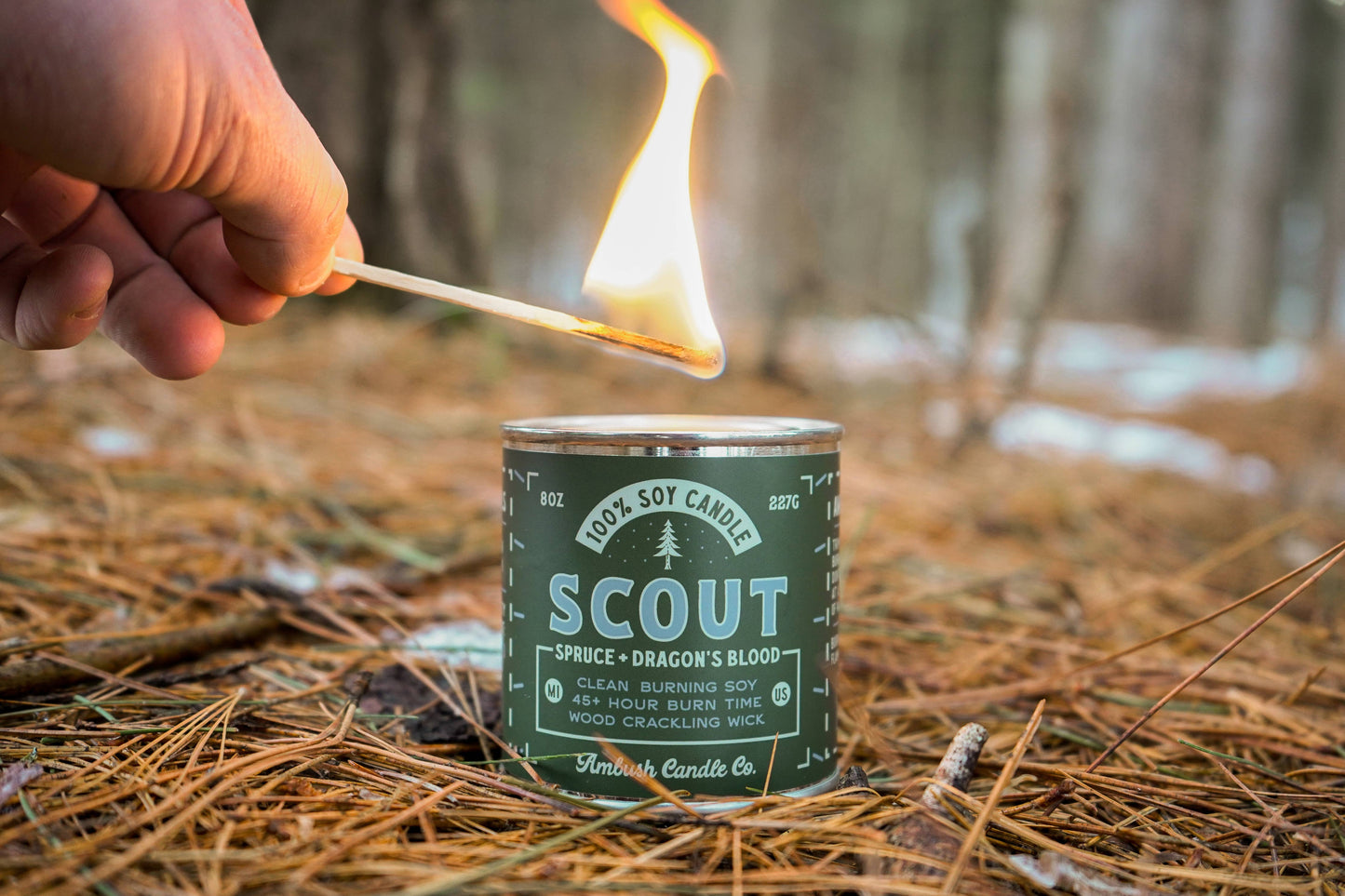 Scout | Spruce + Dragons Blood 8oz Soy Candle