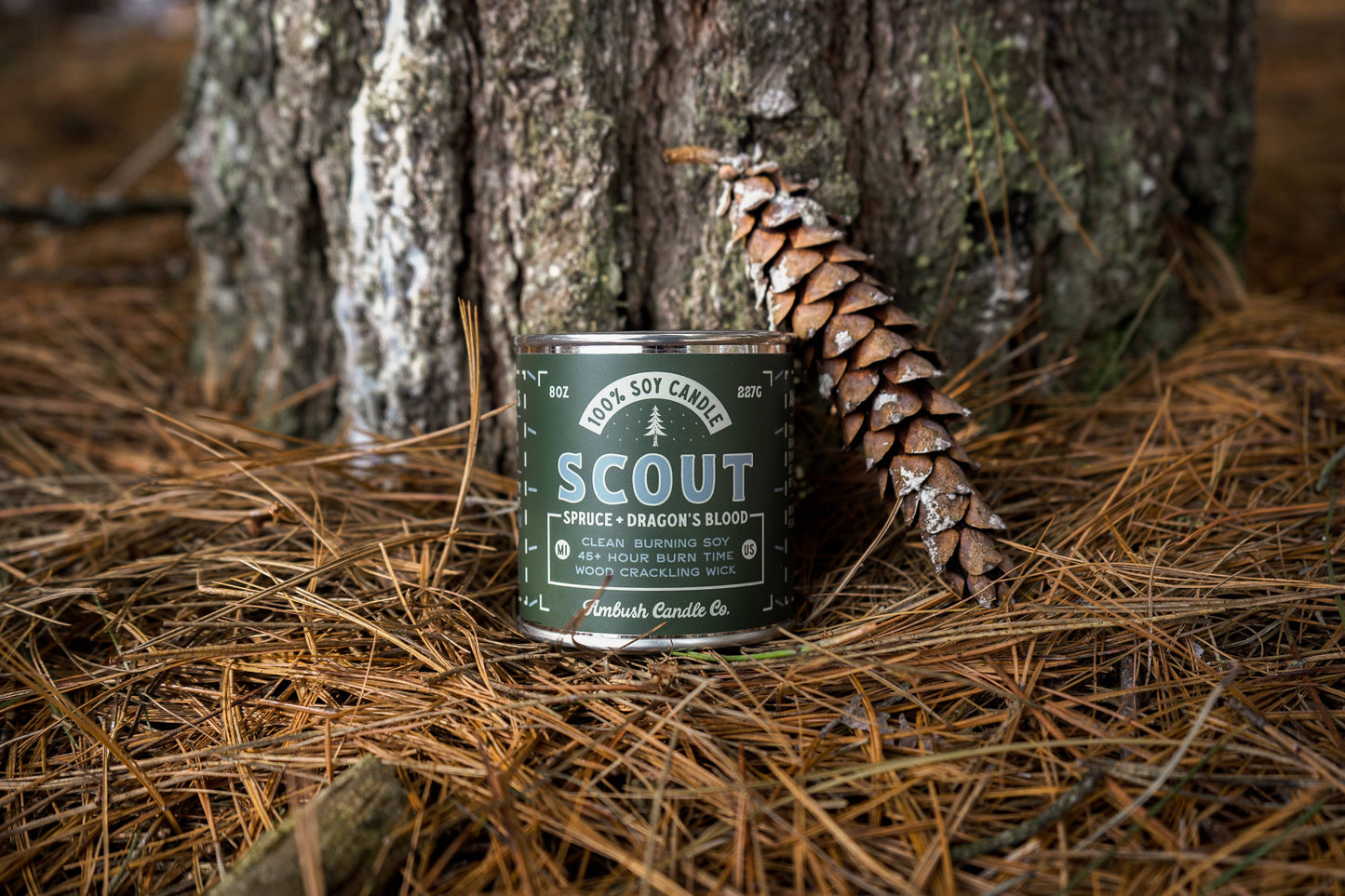 Scout | Spruce + Dragons Blood 8oz Soy Candle