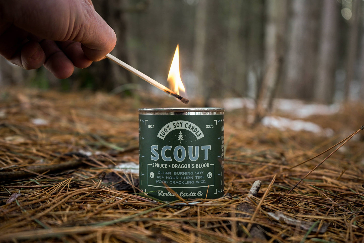 Scout | Spruce + Dragons Blood 8oz Soy Candle