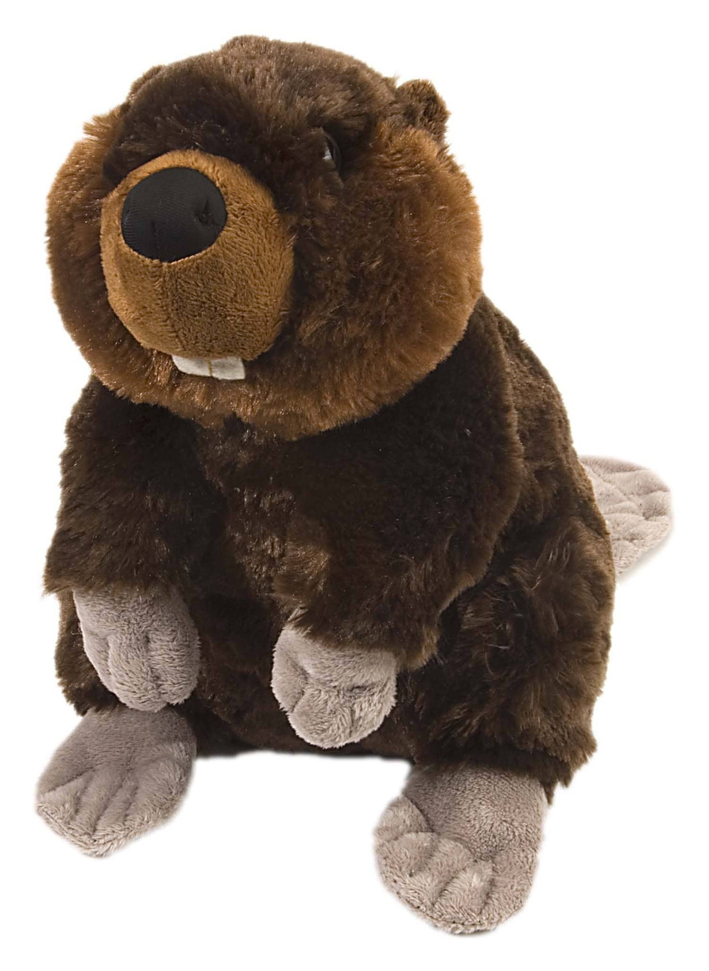 CK Beaver Stuffed Animal 12"