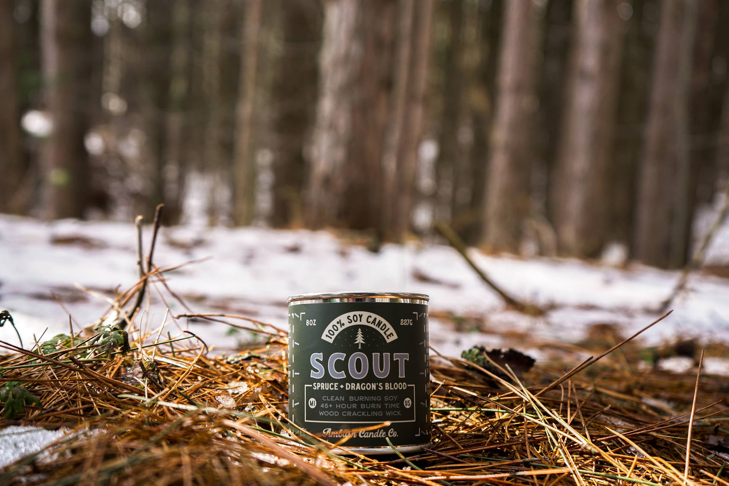 Scout | Spruce + Dragons Blood 8oz Soy Candle