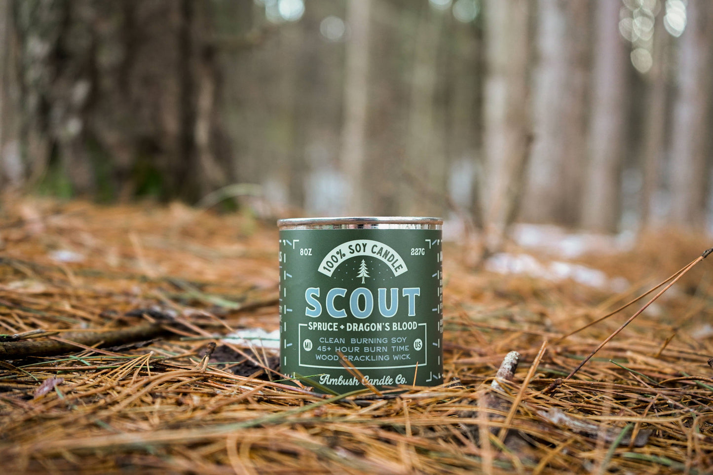 Scout | Spruce + Dragons Blood 8oz Soy Candle