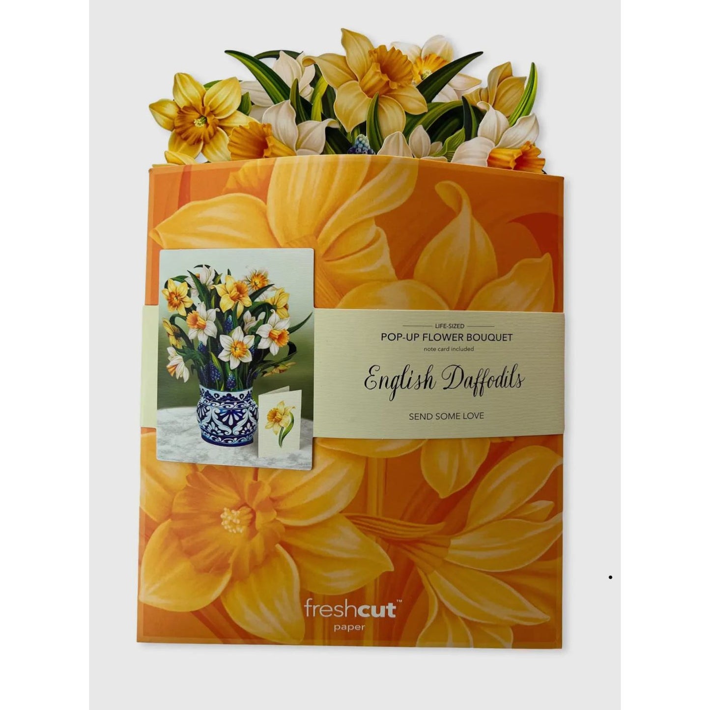 English Daffodils Pop Up Greeting Card