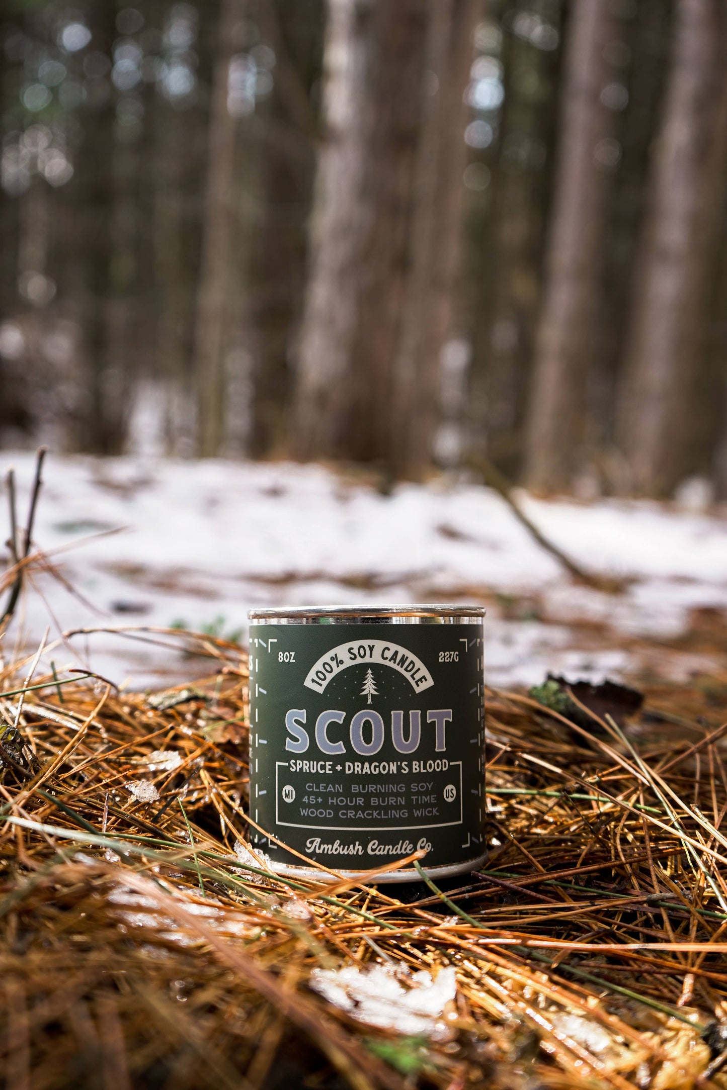 Scout | Spruce + Dragons Blood 8oz Soy Candle