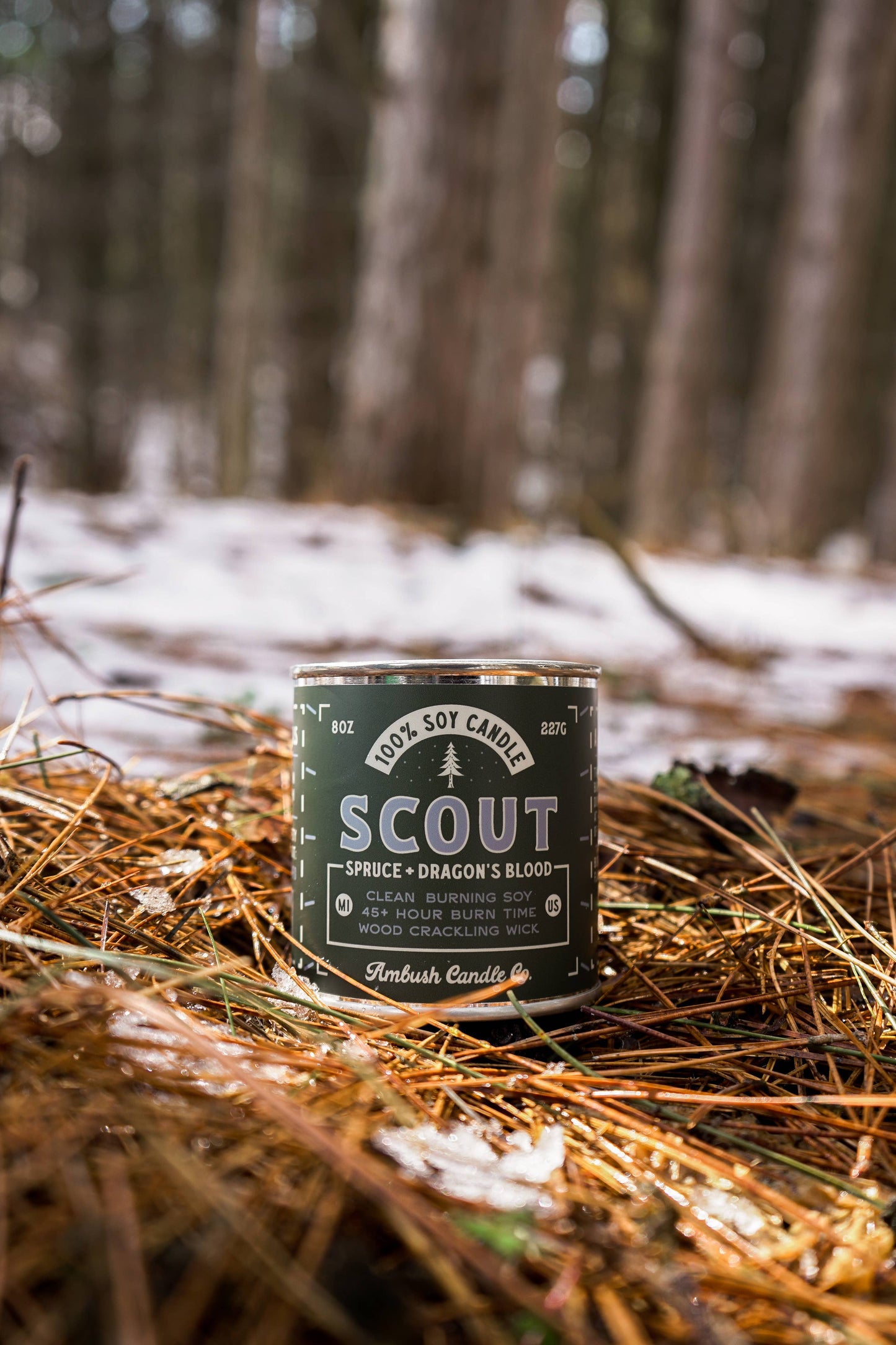 Scout | Spruce + Dragons Blood 8oz Soy Candle