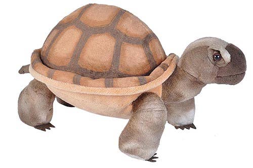 CK Desert Tortoise Stuffed Animal 12"