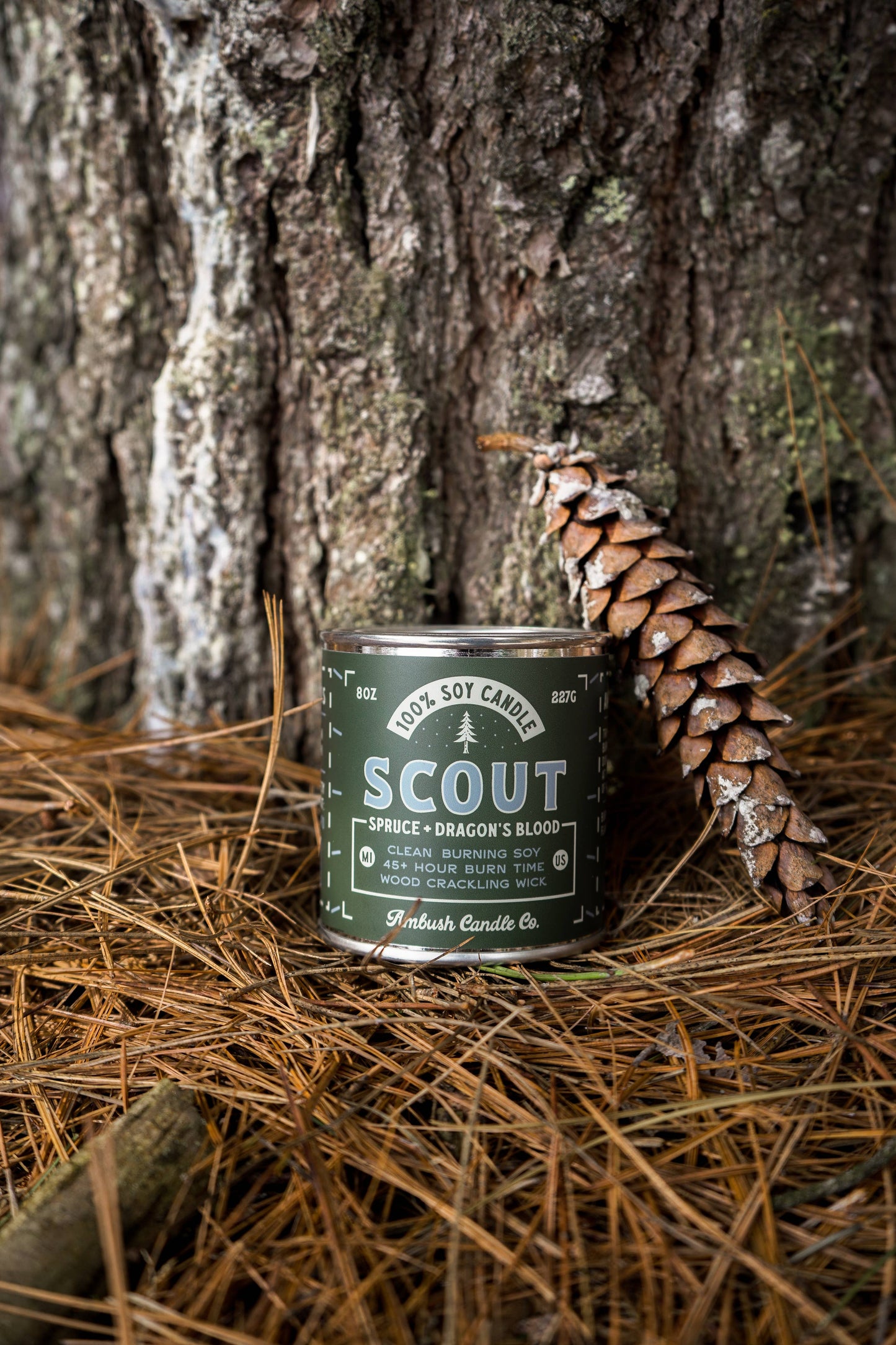 Scout | Spruce + Dragons Blood 8oz Soy Candle