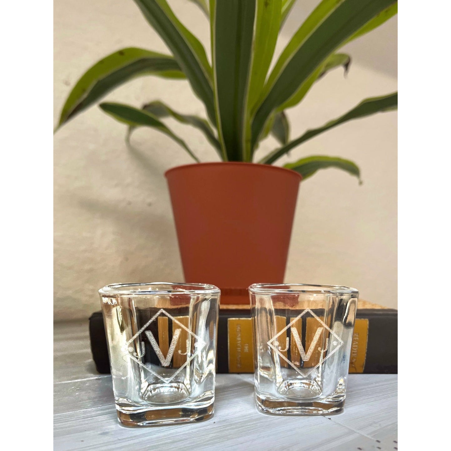 Custom Shot Glasses - set of 2